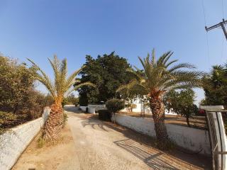 Villa Elena Mit Schönem Garten In Agia Pelagia - Agia Pelagia - 5