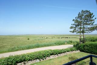 Schöne Ferienwohnung In Morsum - 7