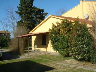 Wohnung In Cecina Mit Großem Garten - Cecina - 0