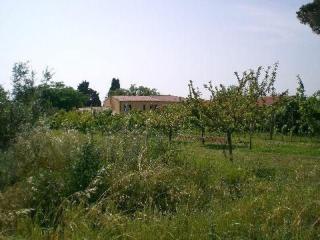 Wohnung Mit Pool Und Großem Garten - Cecina - 1