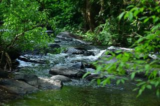Lotus Exotica Homestay - Suntikoppa - 6
