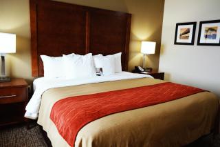 Comfort Inn & Suites Covington - Mandeville - 4