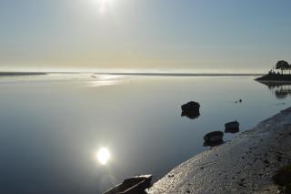 L'Abricotier - Saint-Valery-sur-Somme - 5