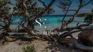 Villa Sandalia - 10m to the beach - 9