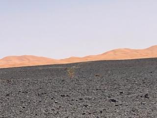 Bivouac Le Petit Prince Merzouga - Merzouga - 5