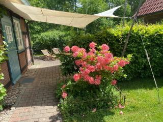 Großzügiges Studio In Einem Kleinen Fachwerkhaus - Dömitz - 2