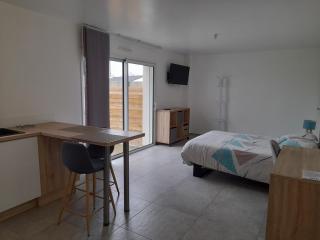 Studio lumineux avec terrasse - La Roche-sur-Yon - 7