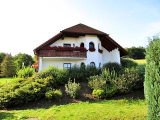 Wohnung In Fischbach Mit Terrasse, Garten Und Grill - Waltershausen - 0