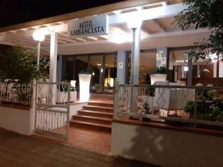 Hotel Ambasciata - Cesenatico - 9