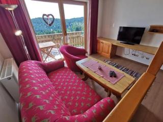 Studio für 4 Personen ca 45 qm in Sankt Englmar, Bayern Bayerischer Wald - Hilm - 8