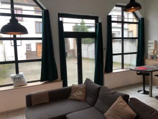 Loft 2 personnes Climatisé parking privé jardin - Obernai - 8