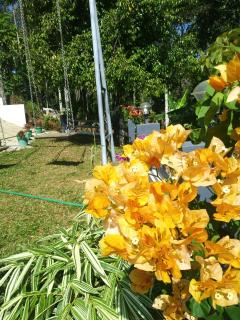 Vagamon 4 large family Rooms & 20 bunk beds apartment 812'983'5682 - Vagamon - 4