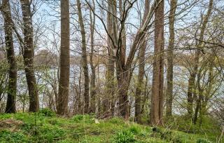 Lovely Home In Nordborg With Wifi - Nordborg - 2
