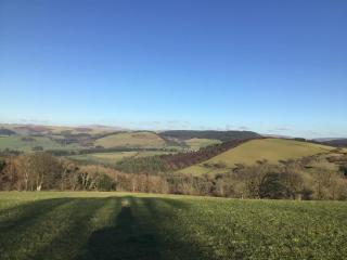 Fronfetyn - Aberystwyth - 8