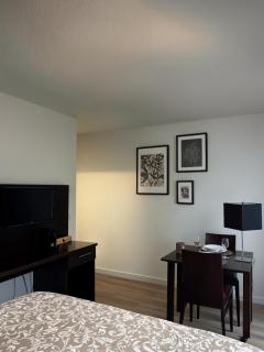 Studio de 25m2 à proximité immédiate de Paris Expo, Porte de Versailles - 6