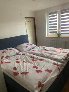 Apartmán v rodinném domě - 6