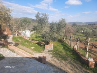 Ali dede kamp karavan bungalow - Selçuk - 0
