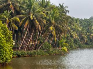 River View Home Stay - - 3