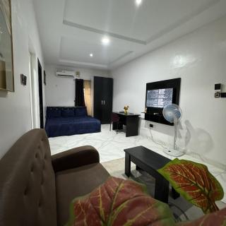 Satellite Apartment The Lux Studio Heaven 5 - Aiyetoto-Asogun - 5