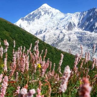 Hapakun camping site Minapin Hunza Nagar - Minapin - 3