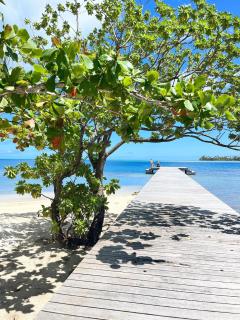 APATOA Beach & Garden - - 3