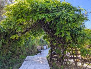 Vila da Fonte - Peaceful Rural 3-bedroom Villa with Private Pool, Central Portugal - 1