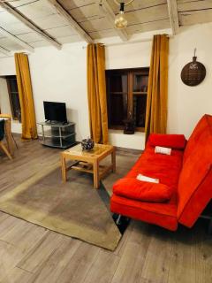 Appartement Atypique - Épinal - 9
