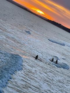 Home in Bournemouth - 6