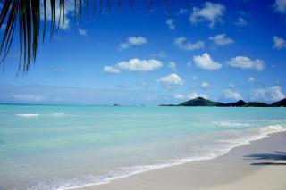 Caribbean Living - Best Beach Condo in Antigua - Dickenson Bay - 3