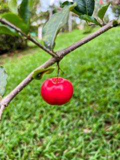 Sitio em condominio a 40km de de Belo Horizonte - 2