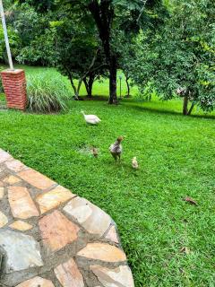 Chacara em condominio - Esmeraldas - 1