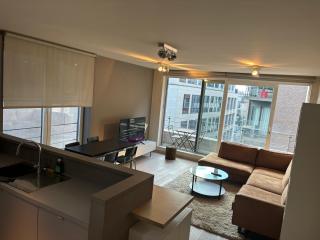 Comfortable Two bedroom Apartment in City Center - Bruxelles - 0
