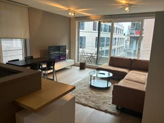 Comfortable Two bedroom Apartment in City Center - Bruxelles - 9