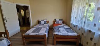 Guesthouse Stojanović - Negotin - 9
