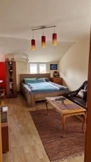 Guesthouse Stojanović - Negotin - 7