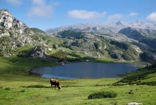 Mi Cachito de Asturias - Sirviella - 8