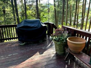 Roscoe Pine House - 1