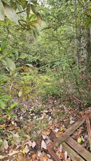 Cabaña Módulo Habitacional en Campo GlamTainer 2 P - 4