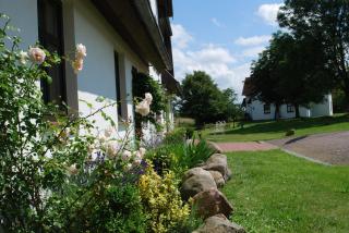 Ferienwohnung In Dargun Mit Terrasse - Dargun - 2