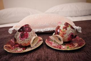 Einzigartige Wohnung In Potočnica Mit Großem Barbecue - Potocnica - 8