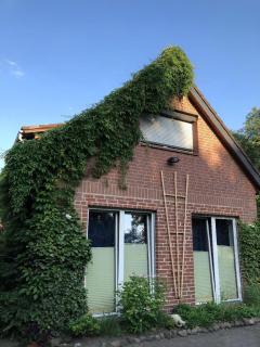Schöne Wohnung In Widukindland Mit Grill, Garten Und Terrasse - Osnabrück - 1