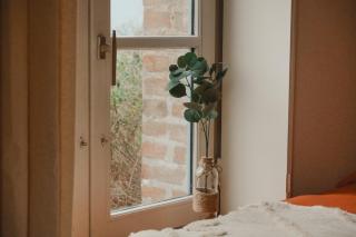 Le Charme - Petite Maison - La Ferté-Bernard - 6