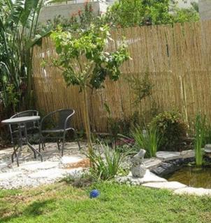 דירת גן ליד הים - 1