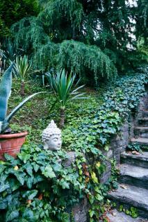 Cozy Panorama at the Castle - 1