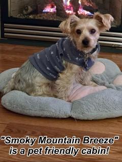 Smoky Mountain Breeze - Sevierville - 3