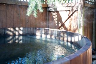 Urban Oasis with Cedar Hot Tub - Seattle - 6