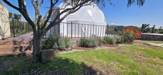 El Gato Glamping con vista al valle - 9