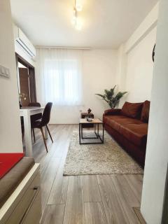 NINA 3 APARTMAN Stevana Ivanovica 3 - Jagodina - 6