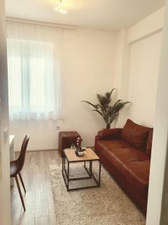 NINA 3 APARTMAN Stevana Ivanovica 3 - Jagodina - 7