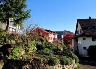 Pilgerwohnung - Wald - 4